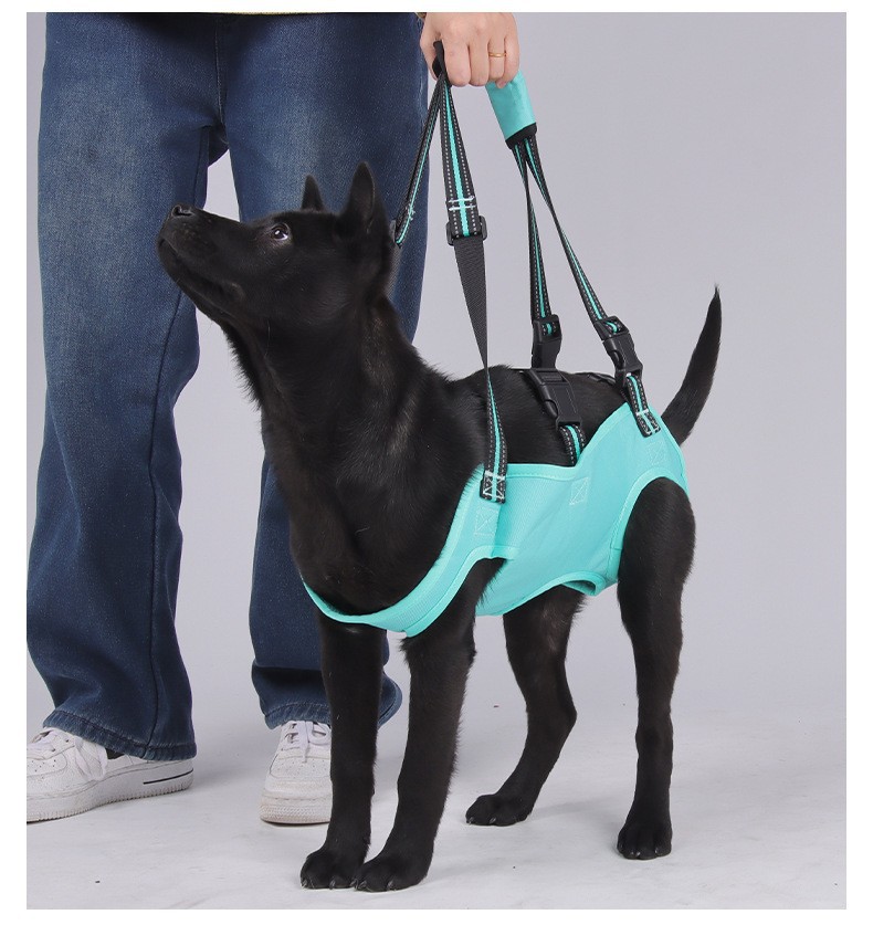 Multifunctional Pet Dog Sling Support Harness for Walking Assistance & Carrying Aid Elderly/Injured Dogs