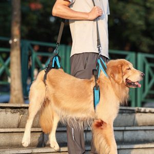 Dog Support & Rehabilitation Harness Elderly Pet Walking Aid for Disabled or Injured Dogs