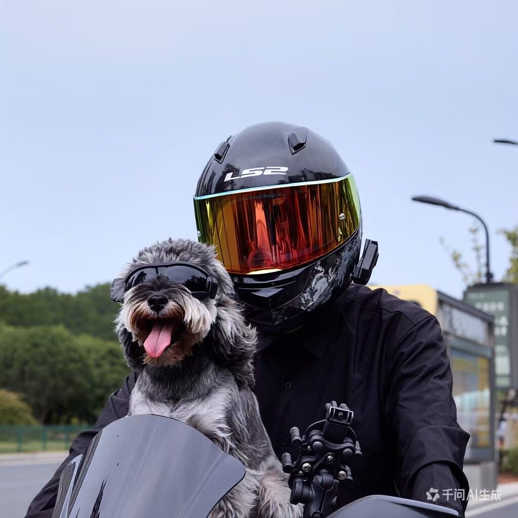 Bendable & Adjustable Safety Pet Goggles Dog Sunglasses for Outdoor UV Eye Protection - Image 6