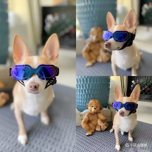 Colorful Iris Pet Goggles Dog Sunglasses for Outdoor UV Protection & Cat Eye Wear